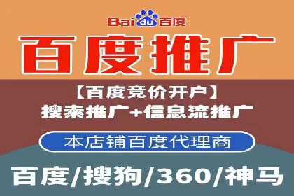 百度推广排名提升方案：某科技公司的成功经验